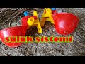 SULUK SİSTEMİ NASIL OLMALI   en iyi suluk sistemi #nipelsuluk #tavuksuluğu #suluk