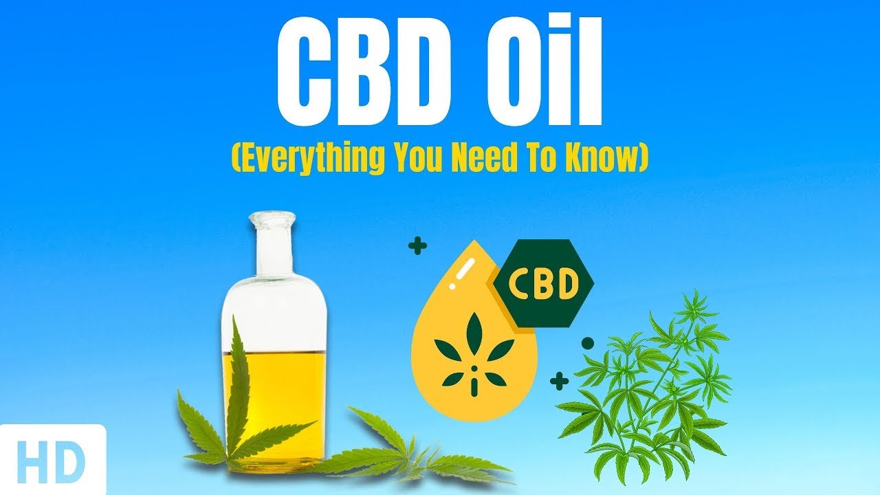 CBD Oil: Everything You Need To Know