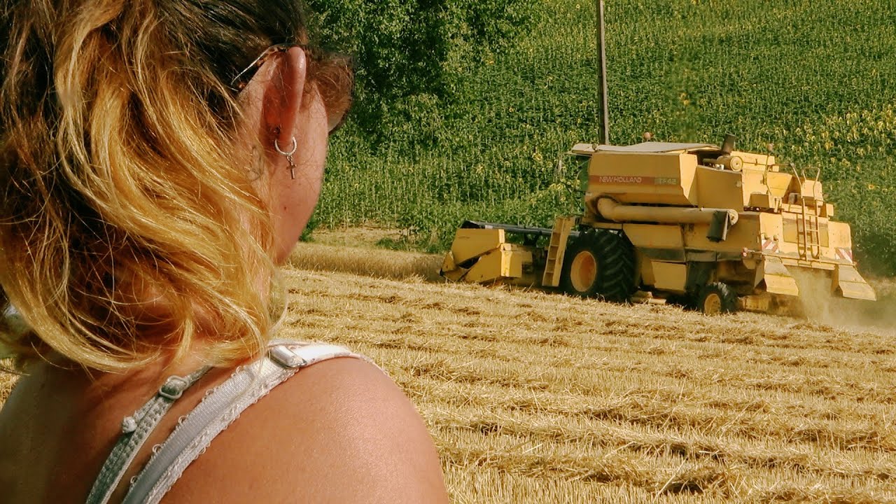 Louane et son grand-père | New Holland TF42 + tracteur Valtra | Moisson 2025