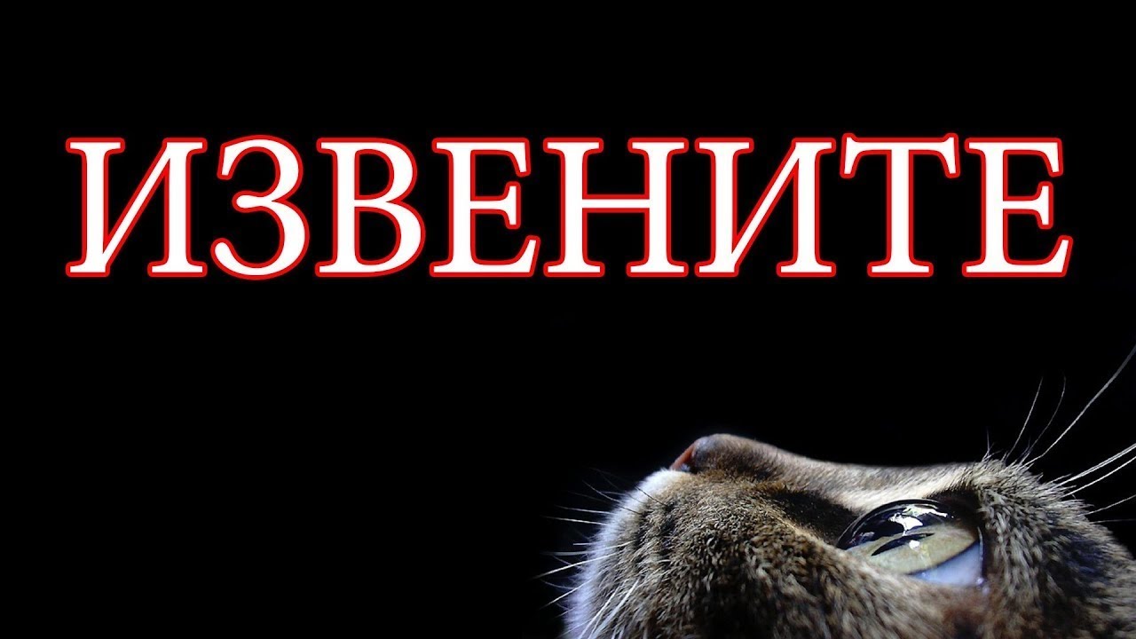 Извинить б. Извините меня. Извените или извините за беспокойство. Извеню. Извени или извини.