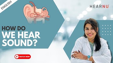 How Do We Hear Sound? | Simple Science of Hearing Explained | Journey of Sound: From Ear to Brain