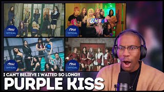 PURPLE KISS | 'Ponzona', 'Zombie', 'memeM', 'Sweet Juice' MV REACTION | I've really been missing out