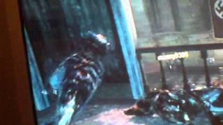 Black Ops: Zombies Hell Hound Weird WTF Glitch Kino Der Toten