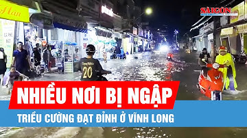 Triều cường đạt đỉnh, nhiều khu vực ven sông ở Vĩnh Long bị ngập