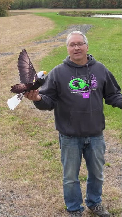 It's so real .. It's freaky .. remote control eagle