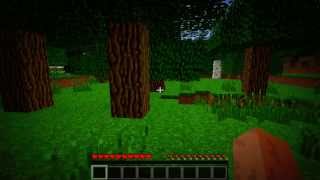 Minecraft Choose Your Own Adventure