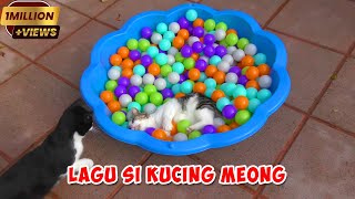 SI KUCING MEONG - LAGU ANAK INDONESIA POPULER
