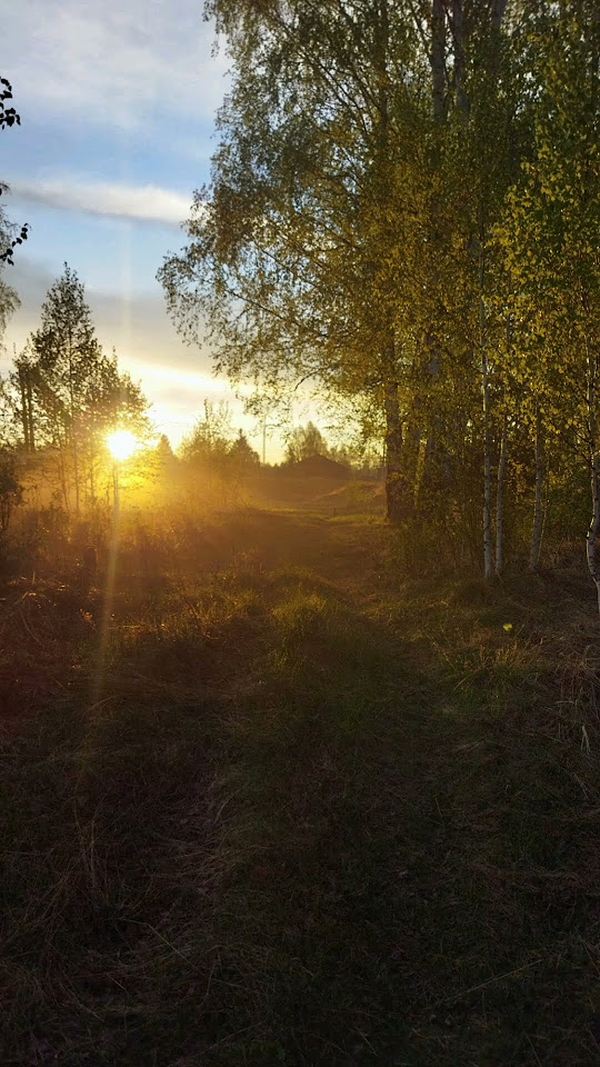 Закат в деревне после дождя #nature - YouTube