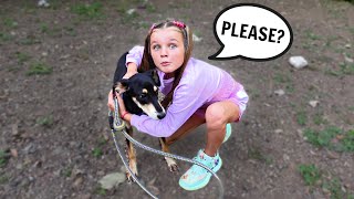 Asking my parents if I can have a DOG… | Family Fizz