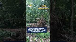 Shore Acres hit hard by storm damage