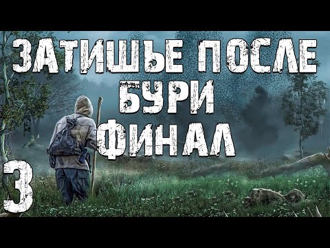 Видео: S.T.A.L.K.E.R. Затишье После Бури #3. Финал