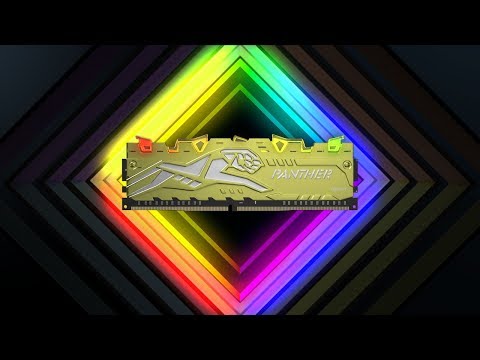 PANTHER RAGE DDR4 RGB: Strving for gold with a splash of colors