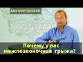 Почему у вас межпозвоночная грыжа?   Дмитрий Троцкий