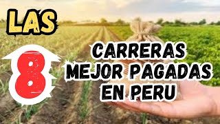 LAS 8 CARRERAS MEJOR PAGADAS EN PERU 2024 LAS 8 CARRERAS MEJOR PAGADAS EN PERU 2024