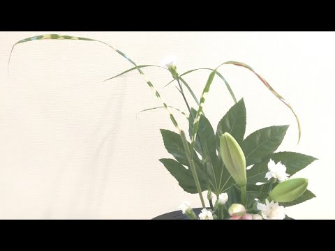 池坊自由花広口花器でいけばな体験ススキの穂編 - YouTube
