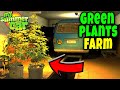 GREEN FARM in MY GARAGE SELLING GREEN PLANTS My Summer 