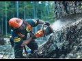 Бензопилы Husqvarna 135(е),140(е), STIHL MS210,230,250, Sturm GC9952В,GC9937В,GC9945В. Manuals.