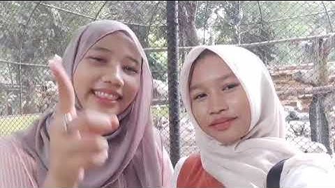 ★mini vlog tugas informatika || keliling kebun binatang surabaya dan kulineran di BG Junction!!✧･ﾟ:*