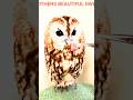 Others beautiful owl vs the last one #shorts #edit