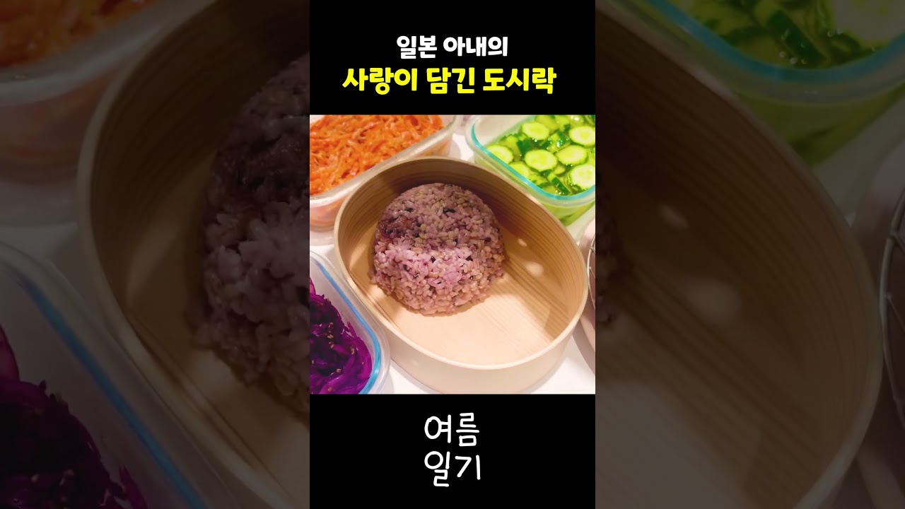 세상 정성스러운 일본인 아내의 도시락 #여름일기