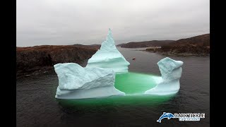 Dark Tickle Expeditions Boat Tour 2022