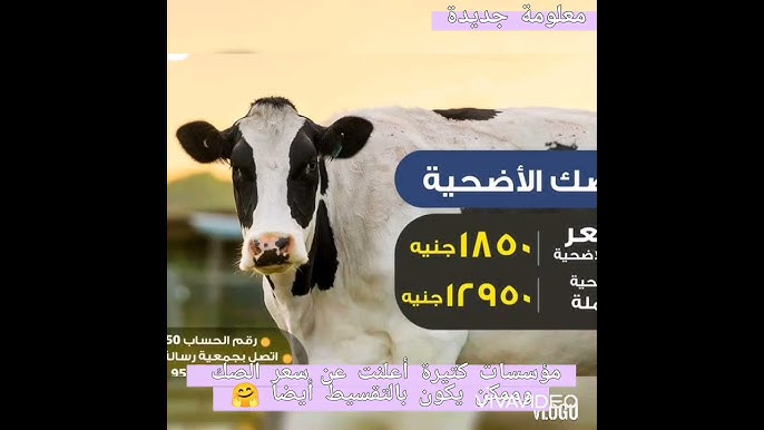 برنامج صك الأضحية بنك الطعام المصري ٢٠٢١ Youtube