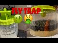 Fly traptrampa para moscas