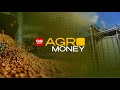 China aumenta demanda por sorgo para ração animal | CNN AGRO MONEY