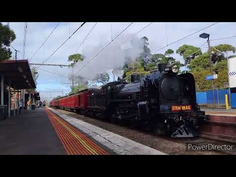 Australian Steam Locomotives - Steamrail Victoria - Essendon Shuttles