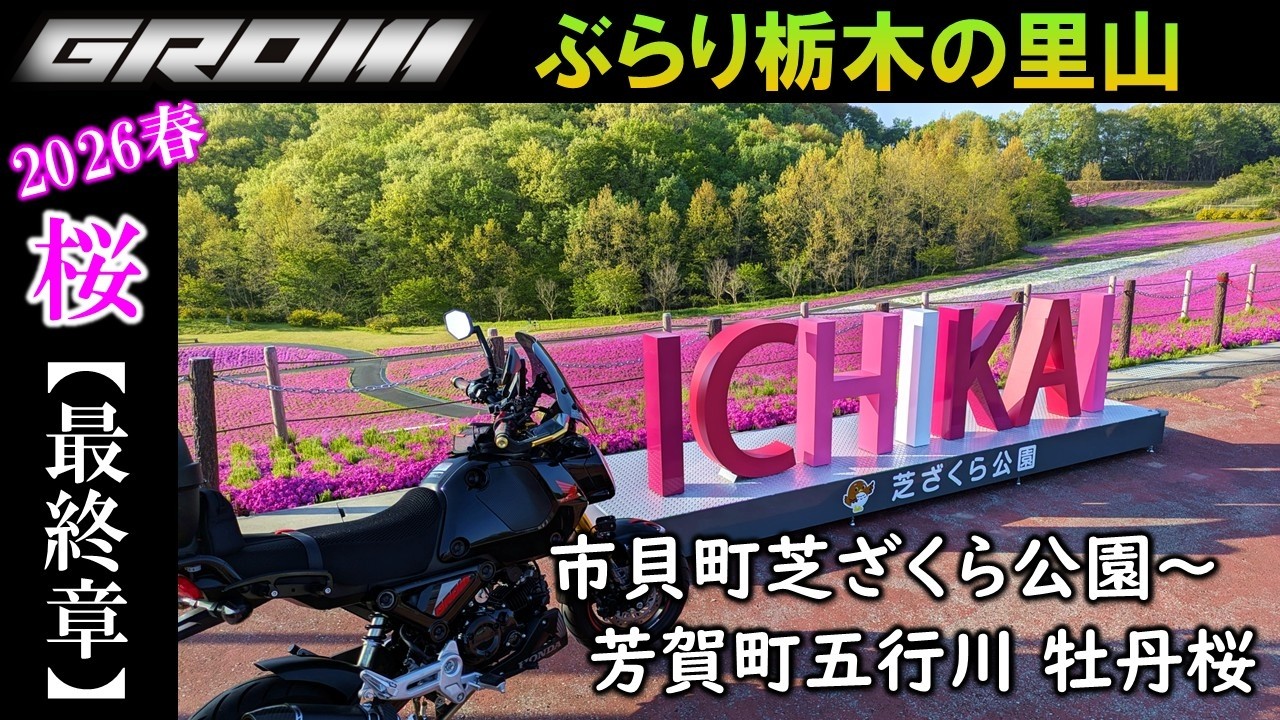 VOL.198 [Final Chapter] Tochigi Cherry Blossoms 2026 ~A Stroll on