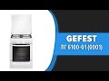 Кухонная плита GEFEST ПГ 6100-01 (0001)