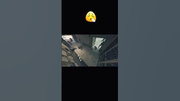 I tried to warn them 😂