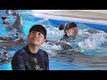 Диана Анкудинова – новый заплыв с дельфинами!