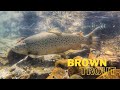 IS THIS PARADISE?? AMAZING Fishing for BROWN Trout [New Zealand]