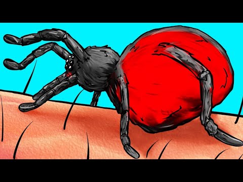 Video: Wat zou er gebeuren als je gebeten wordt door een radioactieve spin?