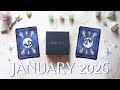 January 2026 Psychic Reading and Astrology Forecast: Put You First!
