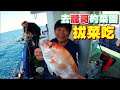 【海釣船釣魚】魚吃流水、人吃嘴水，趕流水快來龍哥的私人菜園拔菜，釣到什麼中午就吃什麼