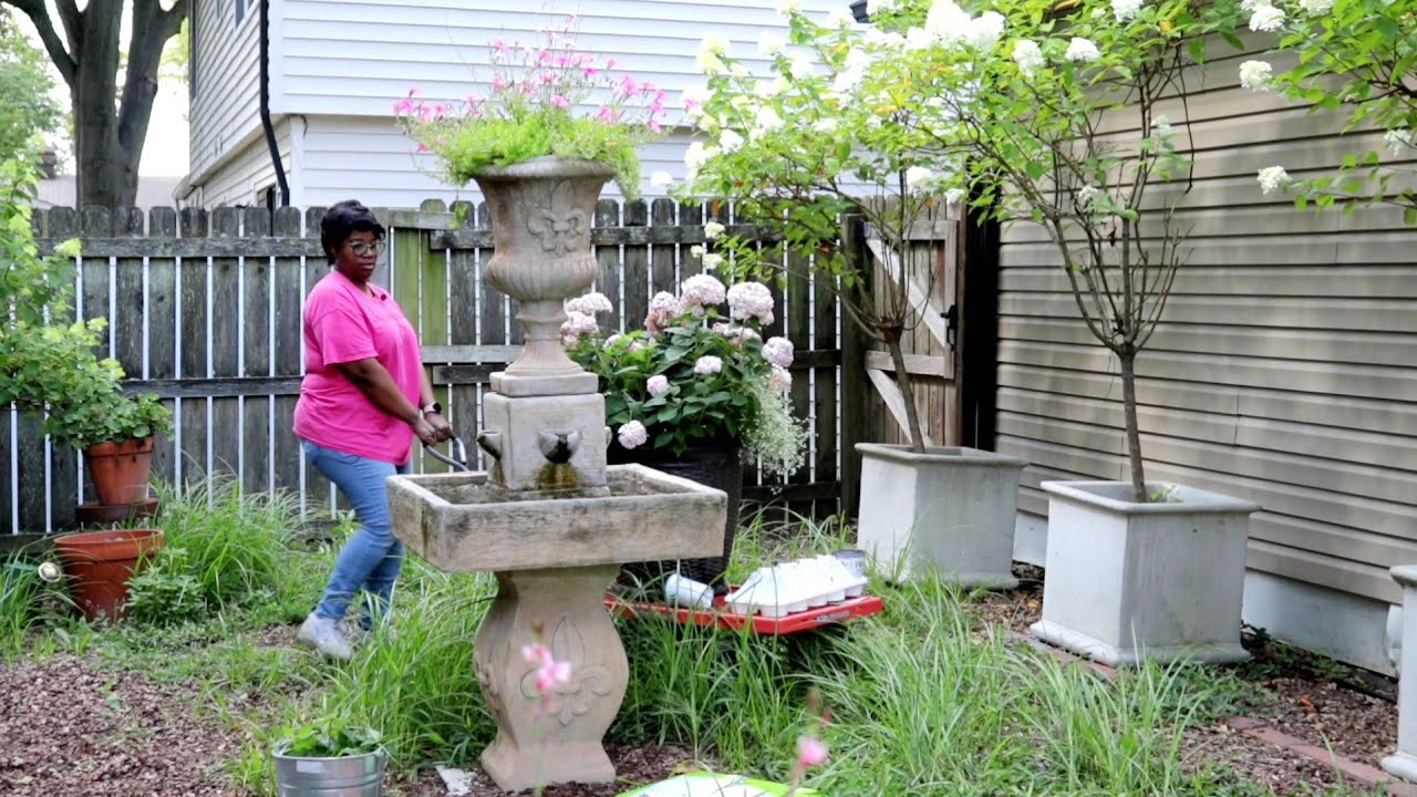 HYDRANGEAS IN CONTAINERS & USING CARDBOARD  IN CONTAINERS & FERTILIZING FLOWERPOTS // GARDEN QUEEN