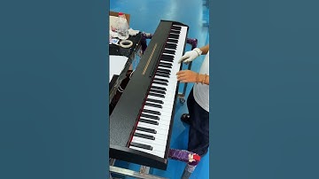 Multi functional electric piano