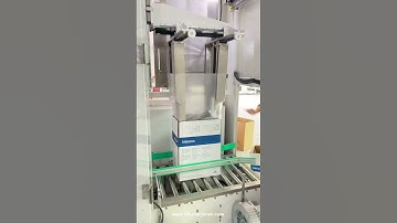 Automatic premade bag inserting carton box machine bag in box equipment video