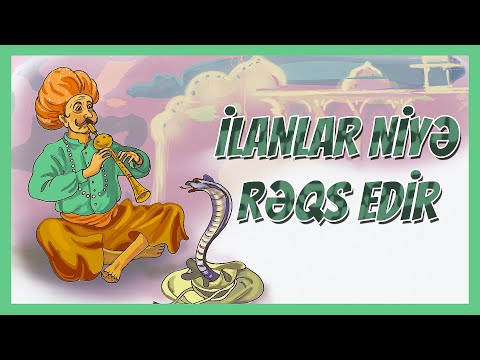 Video: Niyə Rəqs Etməlisən?