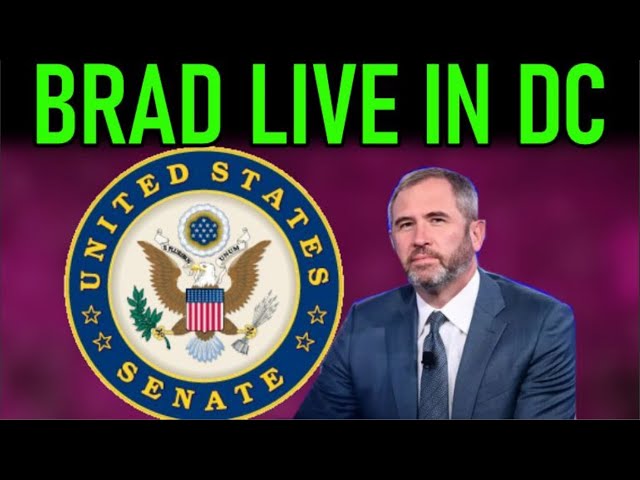 ⁣🔥SENATE CRYPTO HEARING 🔥BRAD GARLINGHOUSE🔥
