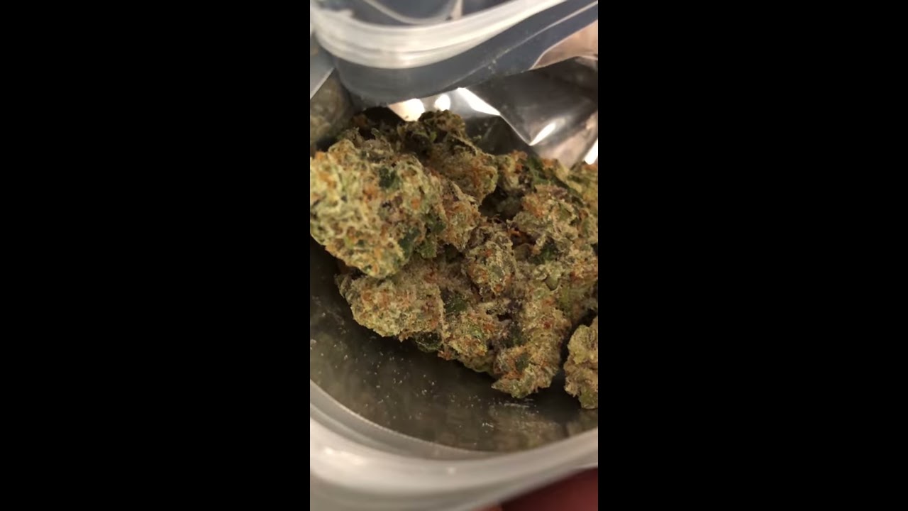 Jungle Boys Gelato Pack Opening Close Up On Nugs