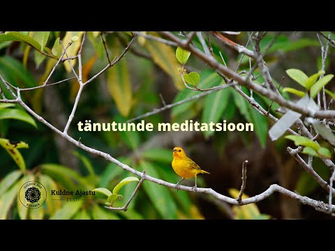 Video: Mis on meditatsioon psühholoogias?