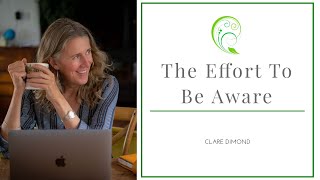The Effort To Be Aware - Clare Dimond 💚