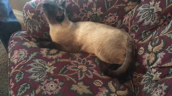 Silas