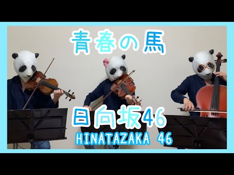 青春の馬/日向坂46（バイオリン、チェロ、ビオラ)弦楽三重奏で弾いてみた