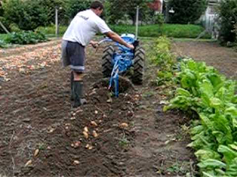 Arrachage Pommes De Terre Youtube