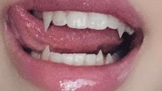 P H @ S E S (Tristyn’s Interlude)