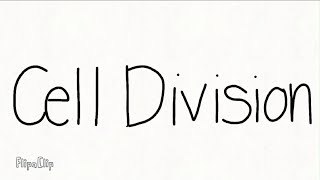 Cell Division Song: Inspired by From the Start by Laufey